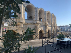 Holiday in Arles: Appartement de l'Amphithéâtre